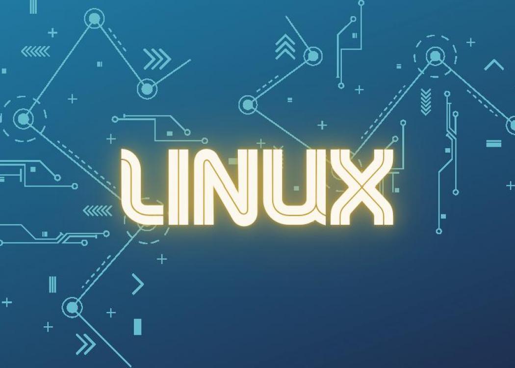 אחסון אתרים Linux Deluxe